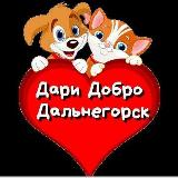 Аватарка канала help_dog_cat_dalas