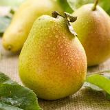 Аватар канала 2029468594