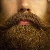 Аватарка канала АНЕКДОТЫ С БОРОДОЙ