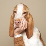 Аватарка канала Amazing animals 🦋