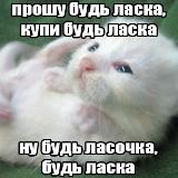 Аватарка канала Анімешна барахолка