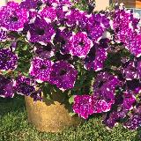 Аватар канала 1519528507