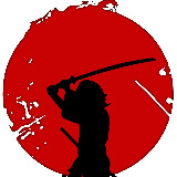 Аватарка канала Financial samurai’s way