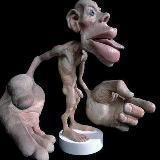 Аватарка канала Блуждающий нерв