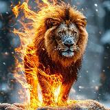 Аватарка канала Видео с огоньком 🔥