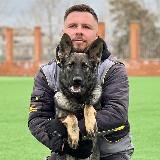 Аватарка канала trenersobak | всё о собаках