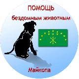 Аватарка канала Dog_maikop🐕❤️🐈