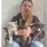 Аватарка канала 🐕Miditon о домашних и бездомных животных🐈