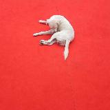 Аватарка канала не в тему