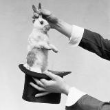 Аватарка канала Актерская шапка