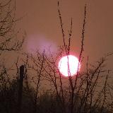 Аватарка канала "LORI"