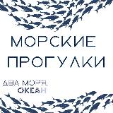 Аватарка канала Два моря, океан. Морские прогулки