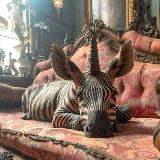 Аватарка канала ekaterina_akb про стиль