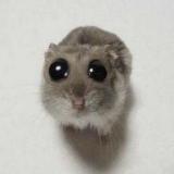 Аватарка канала Стикеры | Эмодзи