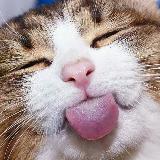 Аватарка канала Добрый 🐶 юмор, мемы, приколы