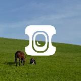 Аватарка канала Aviasales.kz