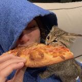 Аватарка канала Фоны для видео