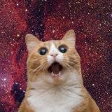 Аватарка канала В космосе никто не услышит твой смех