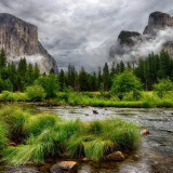 Аватарка канала Лесные пейзажи🥦