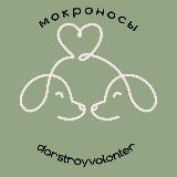 Аватар канала 1963360215