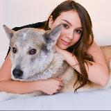 Аватарка канала PETS BY KATERINA | валяние