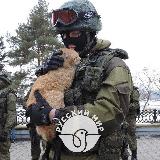 Аватарка канала "Русский Мир"