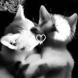 Аватарка канала ♡︎футажи//𝙨𝙥𝙚𝙚𝙙 𝙨𝙤𝙣𝙜𝙨//speed up//hadowesss♡︎