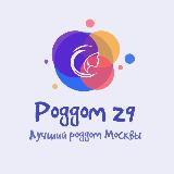 Аватарка канала 29 роддом