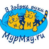 Аватарка канала Бездомные кошки ищут дом