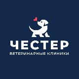 Аватарка канала ЧЕСТЕР ветеринарные клиники 24/7 Спб