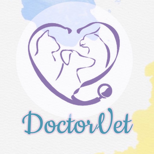 Аватар канала 1544177266