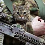 Аватарка канала Русское поле экспериментов