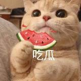 Аватарка канала 🍉吃瓜搞笑俱乐部🌚