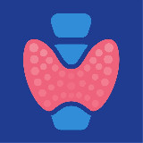 Аватарка канала Профессия – эндокринолог