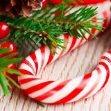 Аватарка канала "НОВЫЙ ГОД Ташкент 🎄☃️"