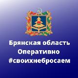 Аватарка канала Брянская область. Оперативно