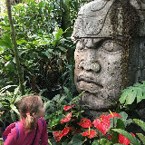 Аватарка канала Аптекарский огород МГУ