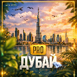 Аватарка канала PRO Дубай