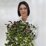 Аватарка канала Дружить с растением