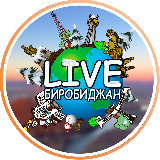 Аватарка канала "🥇 LIVE Биробиджан"
