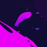 Astro Armadillos avatar