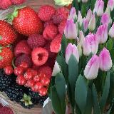 Аватар канала 1819550615