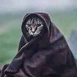 Аватарка канала "Кот Скрипалей (Z)"