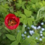 Аватарка канала Травы и женская красота.❤️