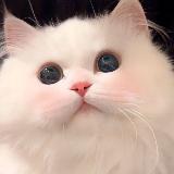 Аватарка канала Stickers