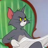 Аватарка канала Tom Capital