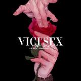 Аватарка канала 𝙑𝙞𝙘𝙞𝙎𝙚𝙭 𝙍𝙖𝙩𝙚