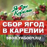 Аватарка канала SBOR.YAGODY.RU