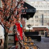 Аватарка канала Фотограф ЕКБ 📸 Мероприятия | Портрет