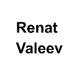 Ренат Валеев avatar